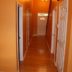 an orange hallway with white doors and wood flooring is seen in this image taken from the entry way