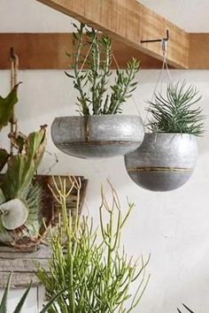 three hanging planters with plants in them