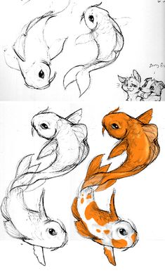 some drawings of different types of fish in various stages of development, including an orange and white koi