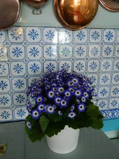 blue and white flowers are in a pot on the counter next to copper pans