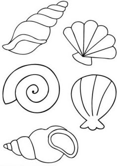 four seashells coloring page for kids to print out and color on the beach