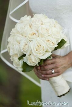 a bride holding a bouquet of white roses