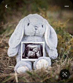 a stuffed bunny rabbit holding an x - ray image in its lap and sitting on the ground