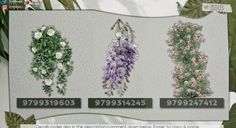 four different types of flowers are shown in this image