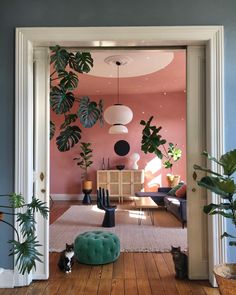 an open door leading to a living room with pink walls and plants on the wall