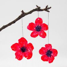 three red flowers hanging from a branch with the words diy recycled plastic bottle poppy flowers