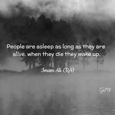 the quote people are asleep as long as they are alive, when they die they wake up