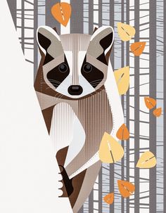 a raccoon is standing in the woods surrounded by leaves and falling from trees