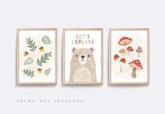 three framed art prints with animals, mushrooms and leaves