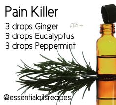 189 Likes, 24 Comments - Essential Oils (@essentialoilsrecipes) on Instagram: “"READ BELOW"!!! This is the best pain killer combination!  I've used it over and over for different…” Essential Oils Roller, Headache Remedy, Natural Headache, Essential Oils For Pain, Essential Oil Remedy, Ginger Essential Oil, Oil Remedies, Essential Oils Health, Living Essentials Oils