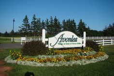 a sign that is in the grass near some bushes and flowers with trees in the background