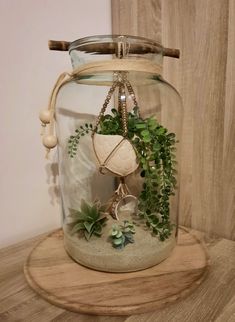 a glass jar filled with plants on top of a wooden table