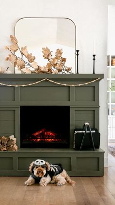 a dog laying on the floor in front of a fireplace with a mirror above it