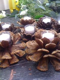 candles are sitting on top of some wood pieces and flowers in the background is an instagram post about pine cones and candles