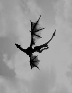 a black and white photo of a dragon flying in the sky