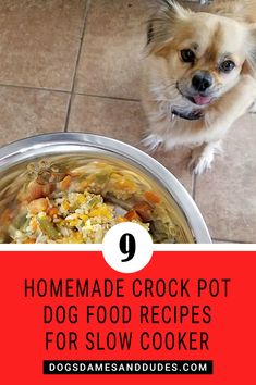 a dog standing next to a bowl filled with food and the words homemade crock pot dog food recipes for slow cooker