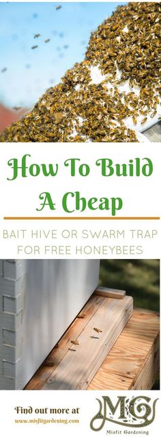 a beehive with the words how to build a cheap beehive or swarm trap for free honeybees