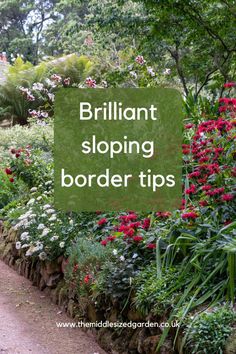 a garden filled with lots of flowers next to a lush green hillside covered in trees