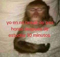 a man sleeping in bed with his eyes closed and the caption reads yo en mi break de tres horas despues de est estudiir 10 minutos