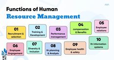 the functions of human resources and management in an employee's life cycle, as well as their roles