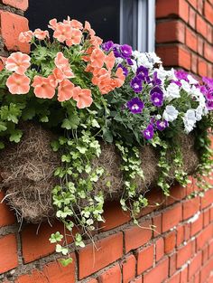 some flowers are growing in a window sill on the side of a brick building