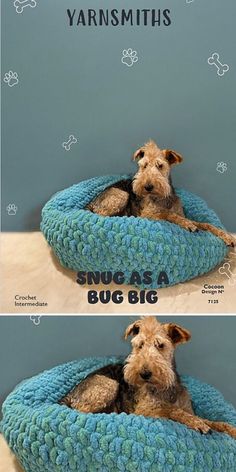 a dog in a blue crochet dog bed Crochet Dog Sweaters, Dogs Crafts, Crochet Cocoon Pattern, Crochet Dog Sweater Free Pattern, Dog Jacket Patterns, Pet Crochet, Crocheted Dog, Crochet Dog Clothes, Dog Sweater Crochet Pattern