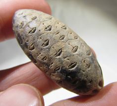 a close up of a person holding a rock in their hand with holes on it