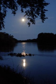 the moon shines brightly in the night sky over a body of water with trees