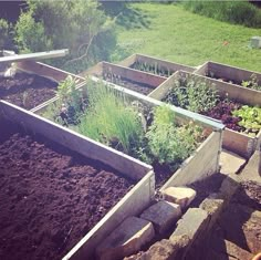 several wooden boxes filled with different types of plants and dirt on the ground in front of a grassy field