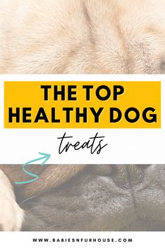 the top healthy dog treats for dogs with text overlay that reads, the top healthy dog treats