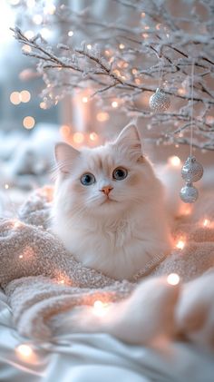 a white cat sitting on top of a blanket next to a tree with christmas lights