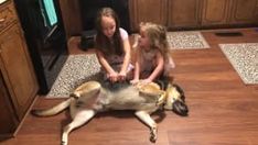 two girls are playing with a dog on the floor