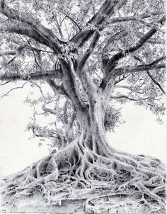 a drawing of a tree with its roots exposed