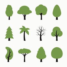 various types of trees on a white background