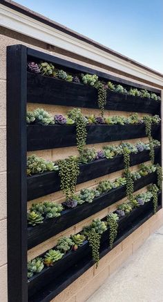 a wall mounted planter with succulents on the side of a building