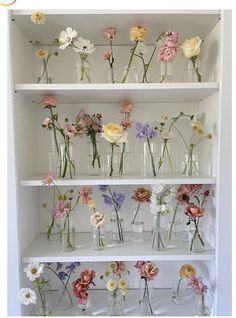 flowers are arranged in glass vases on shelves