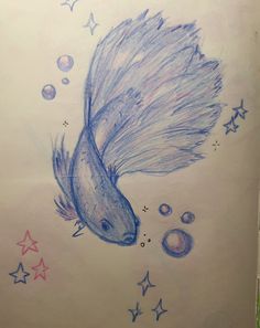 a drawing of a fish with stars and bubbles on it's back side is shown