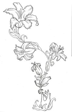 Tiger Lily Back Tattoo, Flower Tats On Arm, Spider Lily Tattoo Arm, Fire Lily Tattoo, Tiger Lily Tattoo Design, Tattoo Ideas Water, Lily Back Tattoo, Tigerlily Tattoo, Tiger Lily Drawing