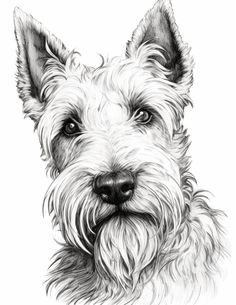 a black and white drawing of a dog