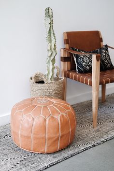 a cactus in a pot sitting on top of a floor next to a chair and rug