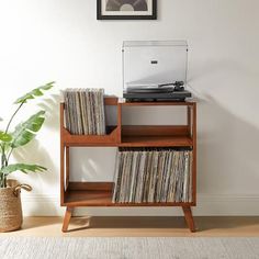 a record player sitting on top of a wooden shelf next to a potted plant