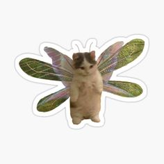 a cat sitting on top of a green and white butterfly shaped sticker with wings