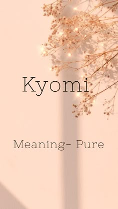 a book cover for meaning pure by kyomi