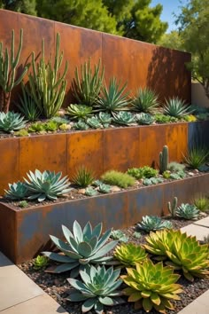 an assortment of succulents and other plants are arranged on the side of a wall