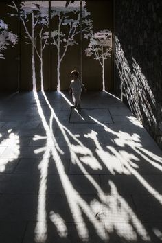 shadows cast on the ground and trees in an open space with stone walls, concrete flooring and large windows