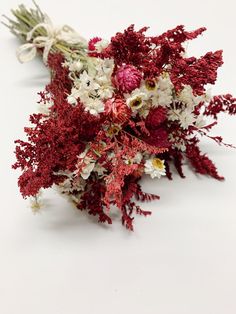 red and white flowers are arranged on a white surface