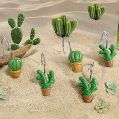 small green cactus plants sitting in the sand next to each other on hooks and hooks