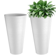 two white vases with plants in them on a white background, one is empty and the other has green leaves