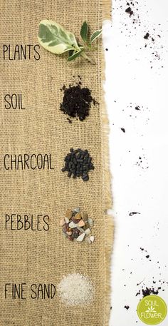 an image of plants and soil on burlap