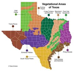 the texas map with different areas labeled in green, brown and purple colors on it